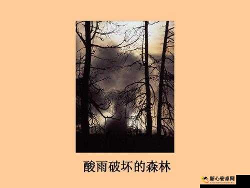 无人一区二区区别是什么：深入探究其差异及影响因素